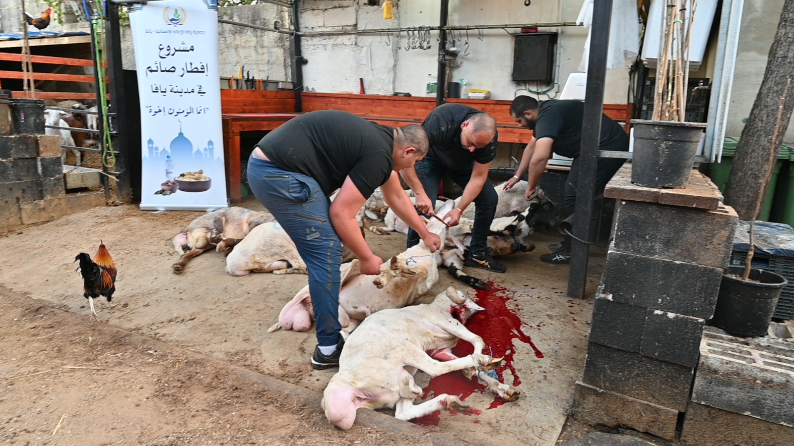 WhatsApp Image 2023-04-05 at 10.43.57 PM.jpeg